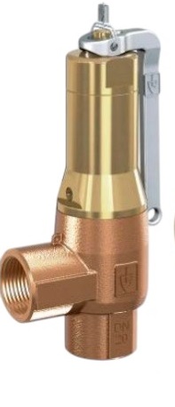 DN15 Goetze Fig: 642mGFL Safety Relief Valve Screwed 1/2"   Please advise set pressure when ordering.