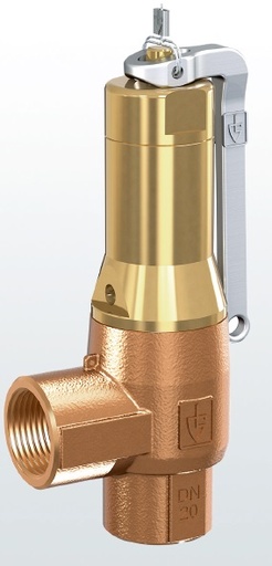 Goetze Fig: 642 Safety Valve screwed inlet